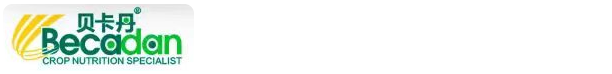 贝卡丹生物科技（青岛）有限公司